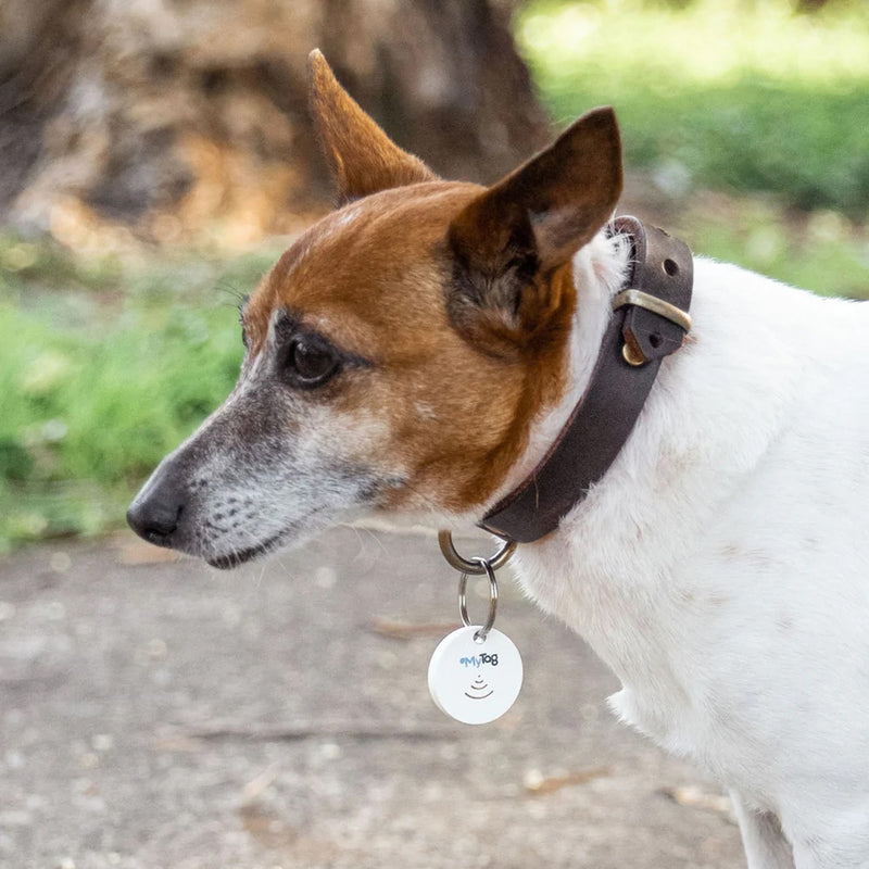 MyTag Classic Bluetooth Tracker White